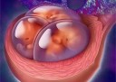 什么时候同房容易大连代怀孕
